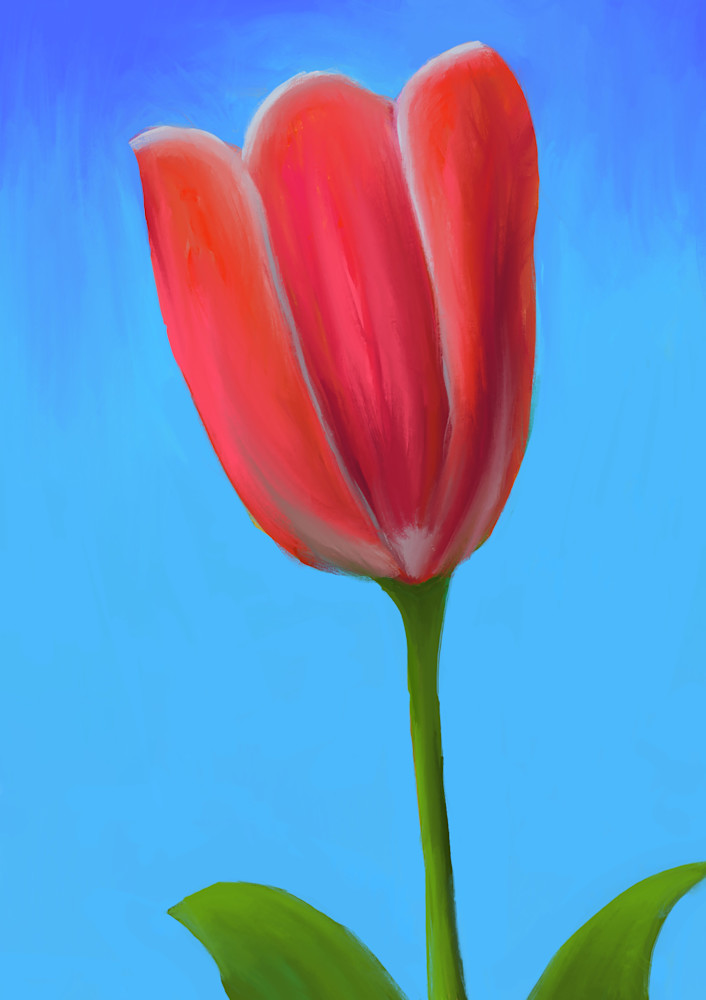 Red Tulip Art | McHugh Fine  Art