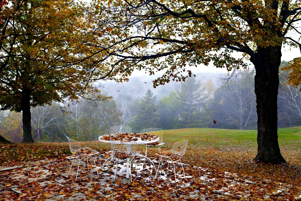 John E. Kelly Fine Art Photography – Table with Leaves - Urbanism