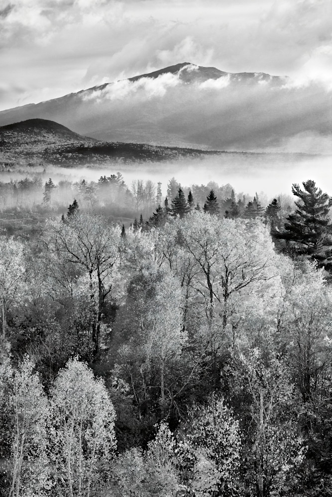John E. Kelly Fine Art Photography – Mountain Forest Mist - Land and Sky