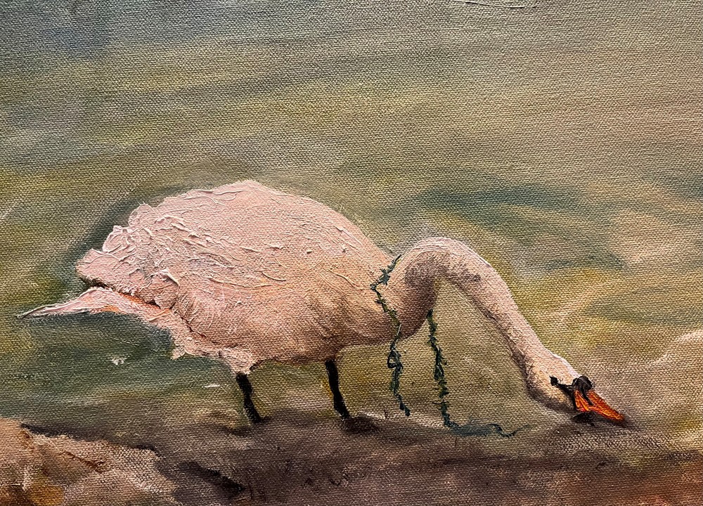 Swan 1 Art | Katherine Bennett Art