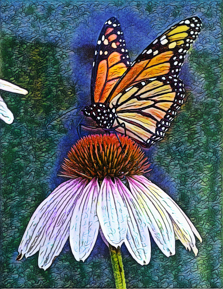 Monarch On Cone Flower, Watercolor Art | Siegel PhotoArt
