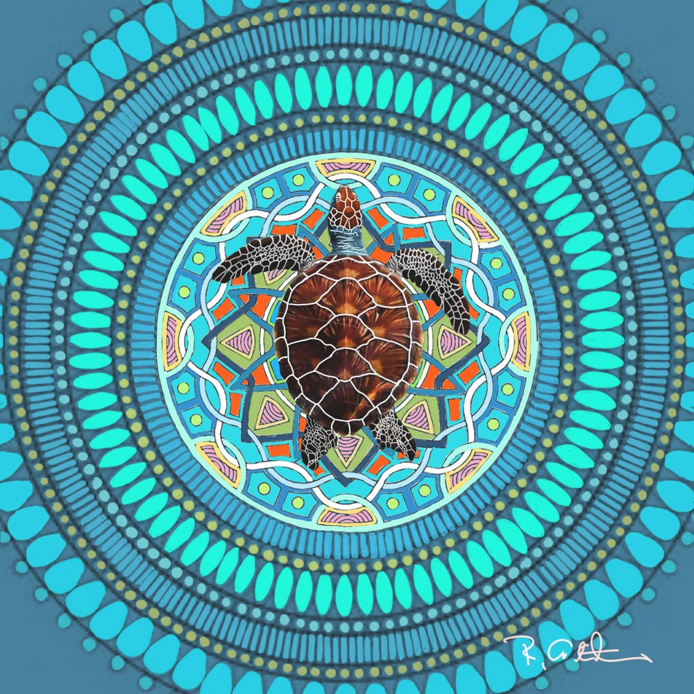 Turtle Mandala Art | Robert Althouse Fine Art
