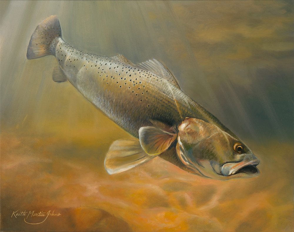 Speckled Trout Small Art | Keith Martin Johns Fine Art