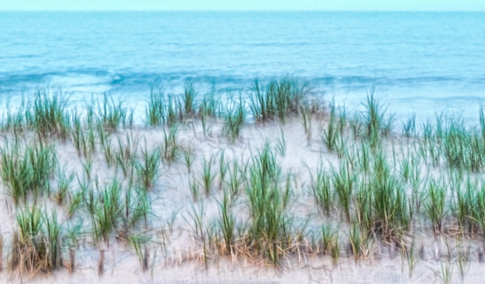 Beach Grasses  Photography Art | Alina Marin-Bliach Photography/alinabstudios LLC