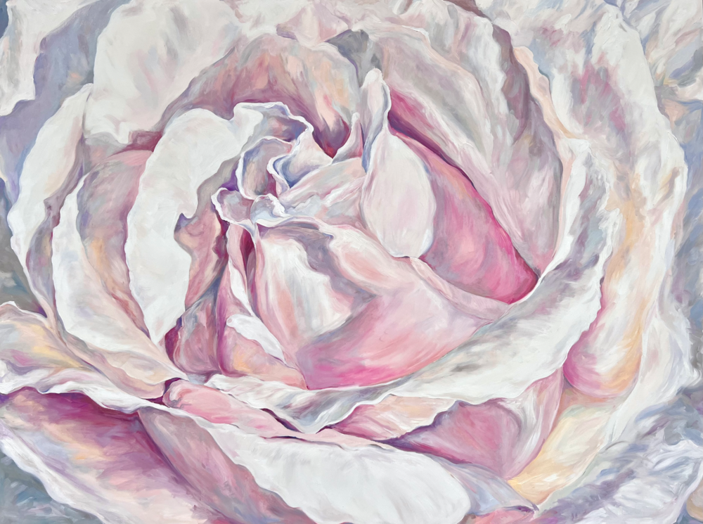 Pink Rose Art | Eileen Baumeister McIntyre Fine Art