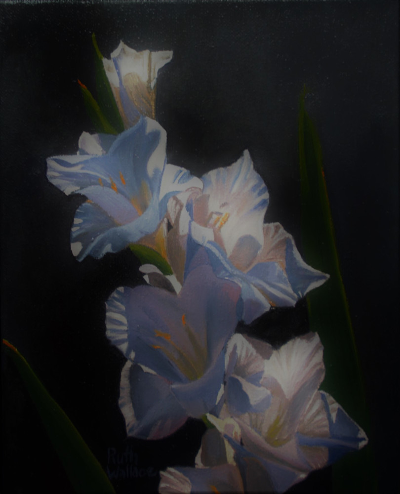 White Gladiolus Art | RUTH WALLACE FINE ART