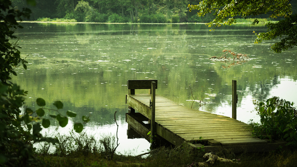 Wooded Dock