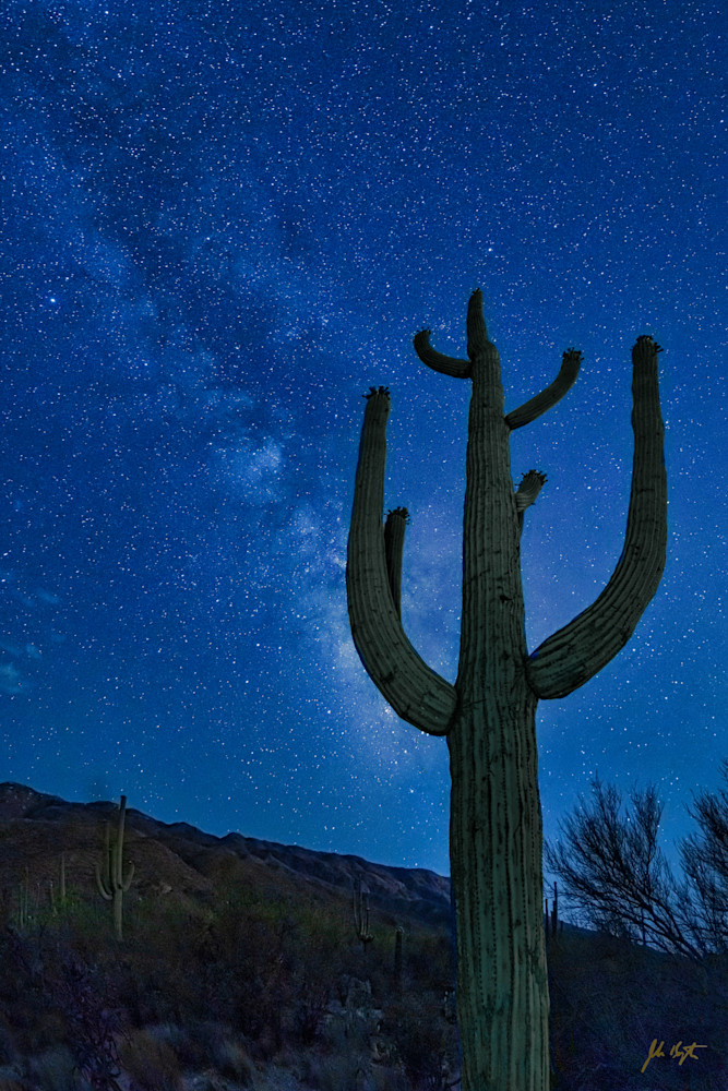Saguaro Milky Way No. 1 Photography Art | John Kennington Photography