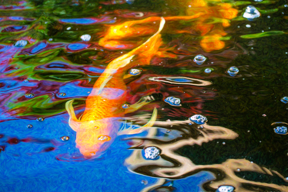 Koi Pond Fish   Golden Abstracts   By Omaste Witkowski Art | Artworks