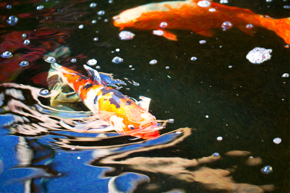 Koi Pond Fish   Making Waves   By Omaste Witkowski Art | Artworks