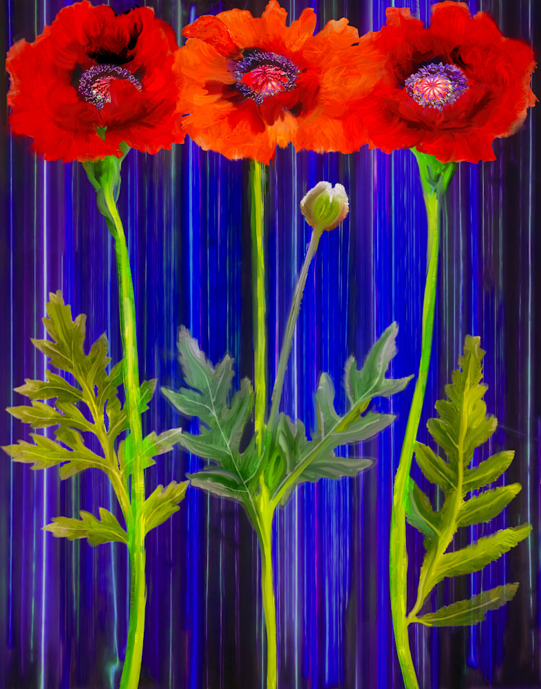 Three Poppies Art | Light Pixie Studio
