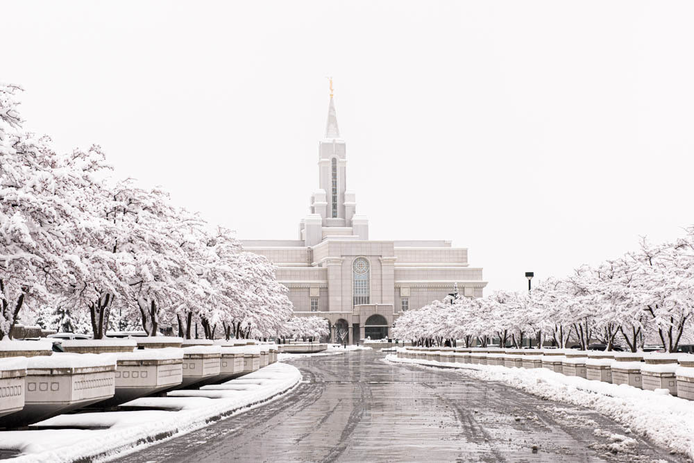 Bountiful Temple - In the Snow