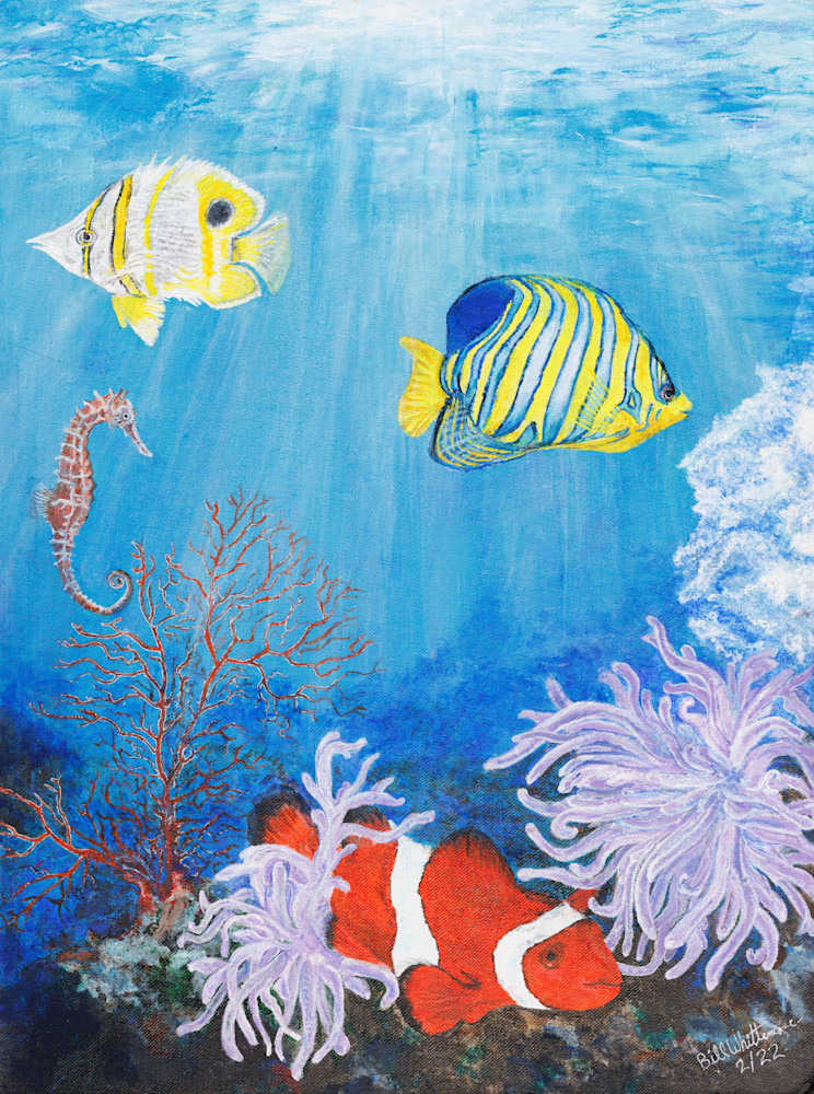 Tropical Fish Art | Bill Whittemore Art