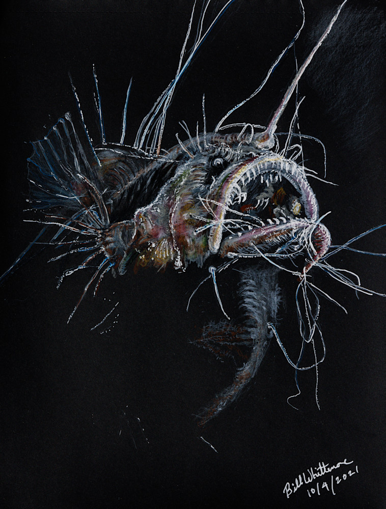 Deep Water Anglerfish Art | Bill Whittemore Art