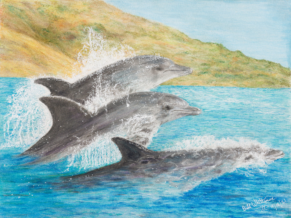 Hawaii Dream Dolphins Close Up Art | Bill Whittemore Art