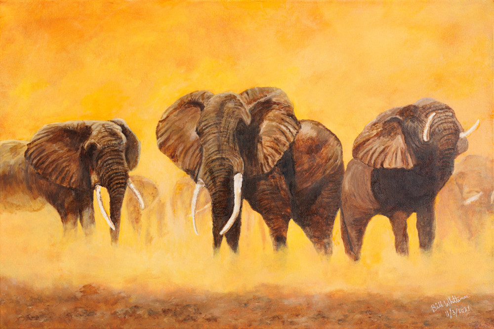 Elephants In The Dust  2021 Art | Bill Whittemore Art