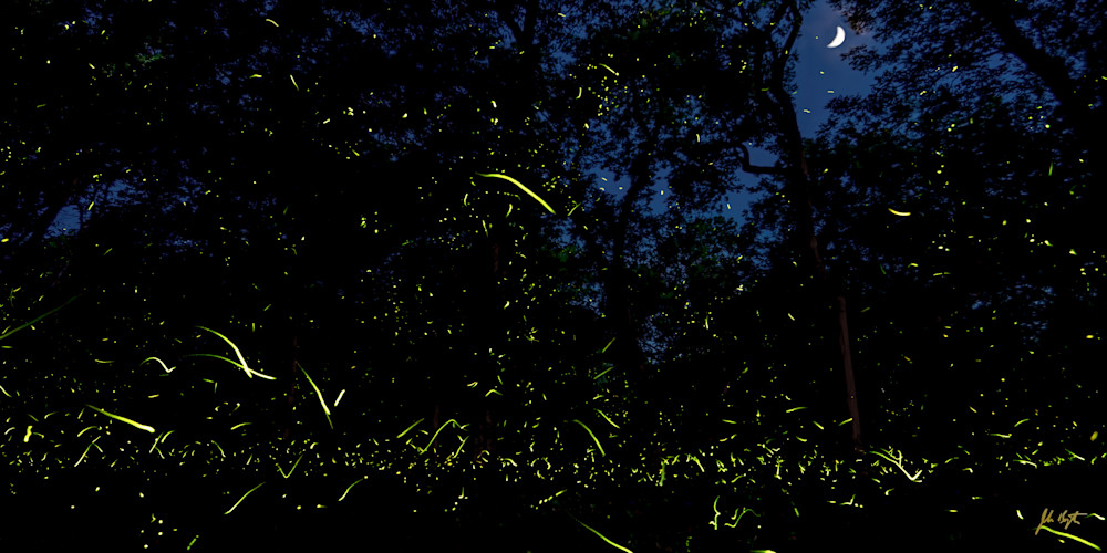 Fireflies Under Crescent Moon No. 2 Photography Art | John Kennington Photography