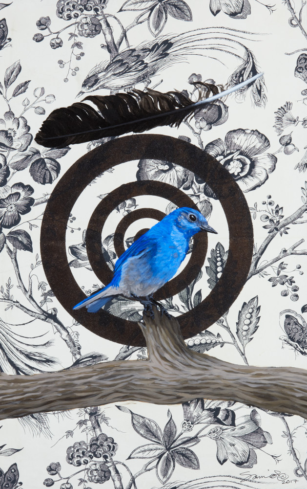 Bluebird Art | Bill Samios Studio