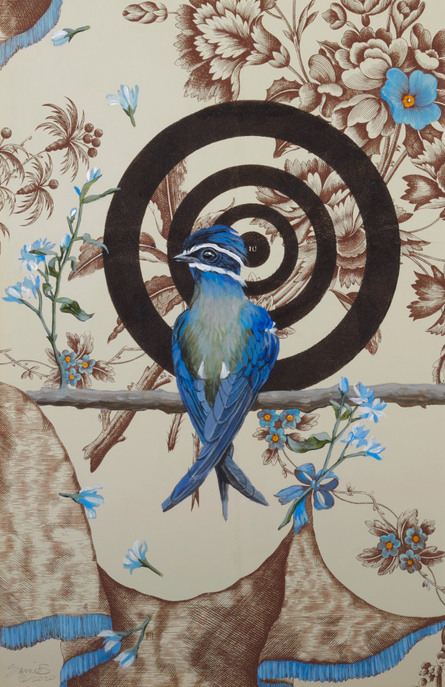 Blue Cross Bird Art | Bill Samios Studio