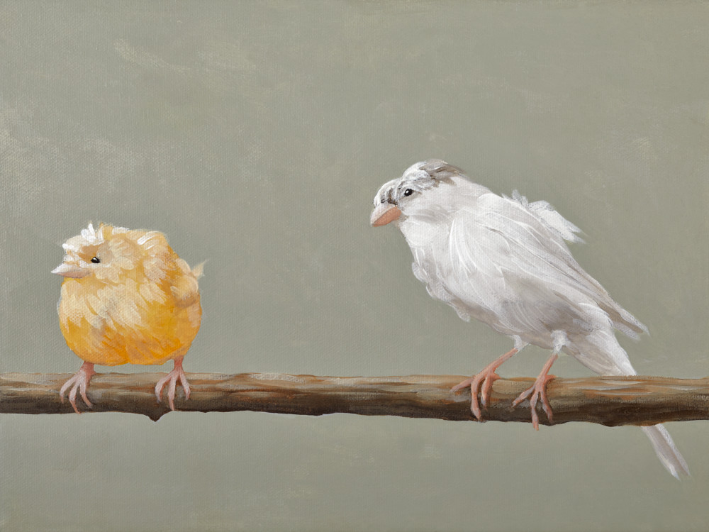 Canary Pair Art | Bill Samios Studio