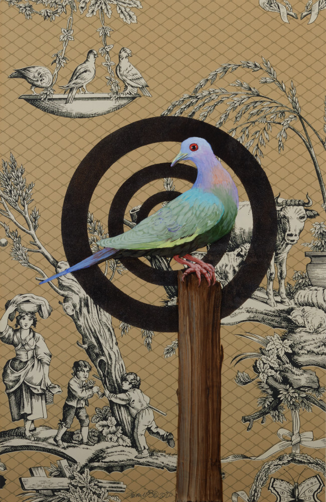 Pigeon Art | Bill Samios Studio