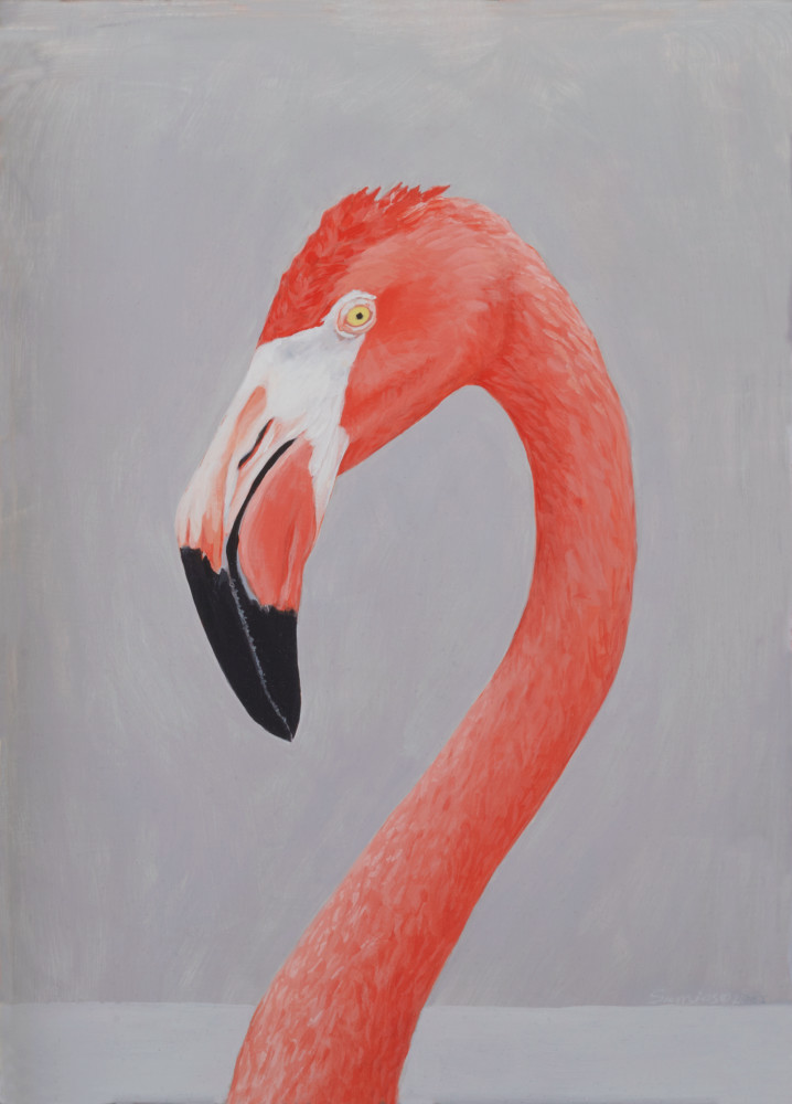 Flamingo Art | Bill Samios Studio