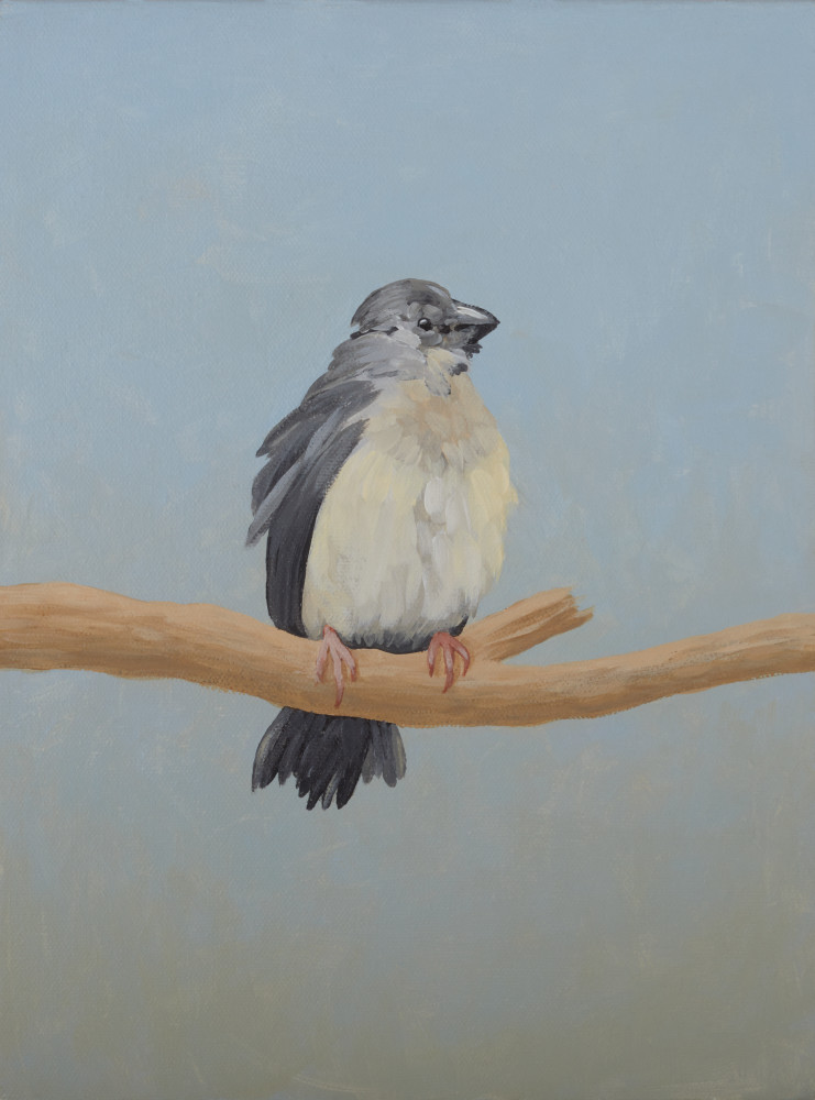 Lil Birdy Art | Bill Samios Studio