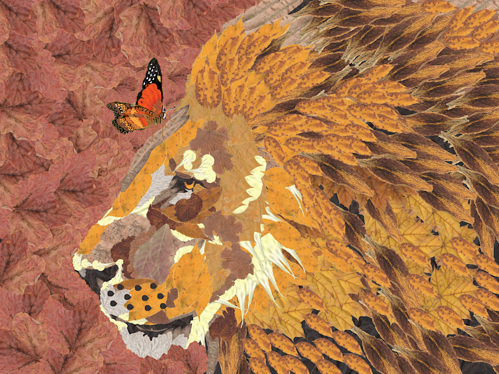 Lion And Butterfly Art | smacartist