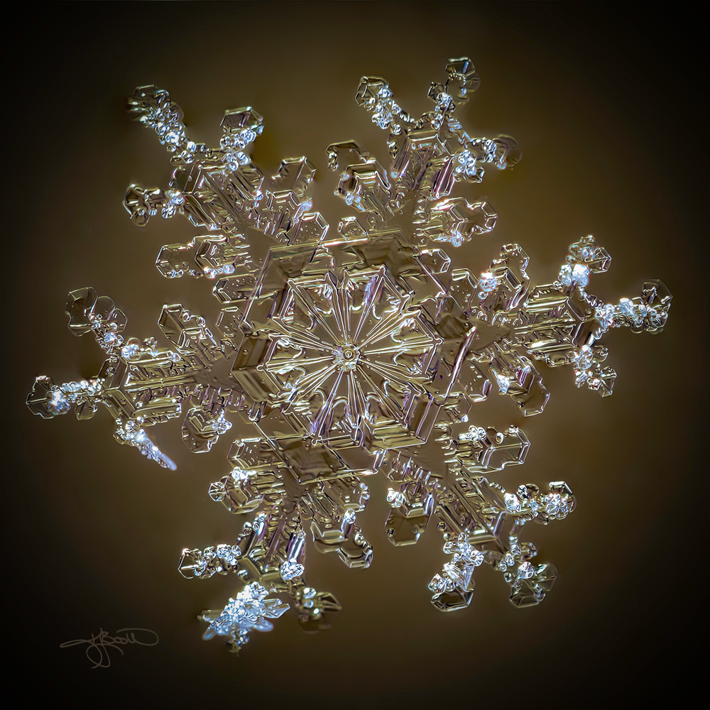 Plate With Dendritic Branches And Intricate Web Type Center Photography Art | Real Snowflake Photography LLC