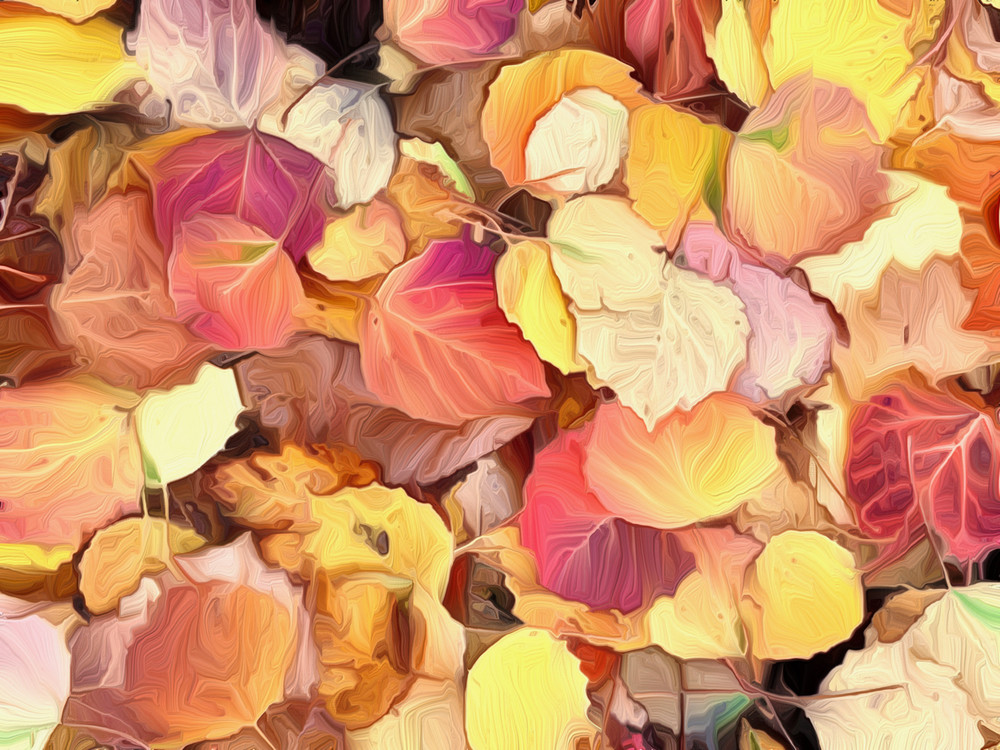 Fall Leaves Art | Siegel Photography, LLC
