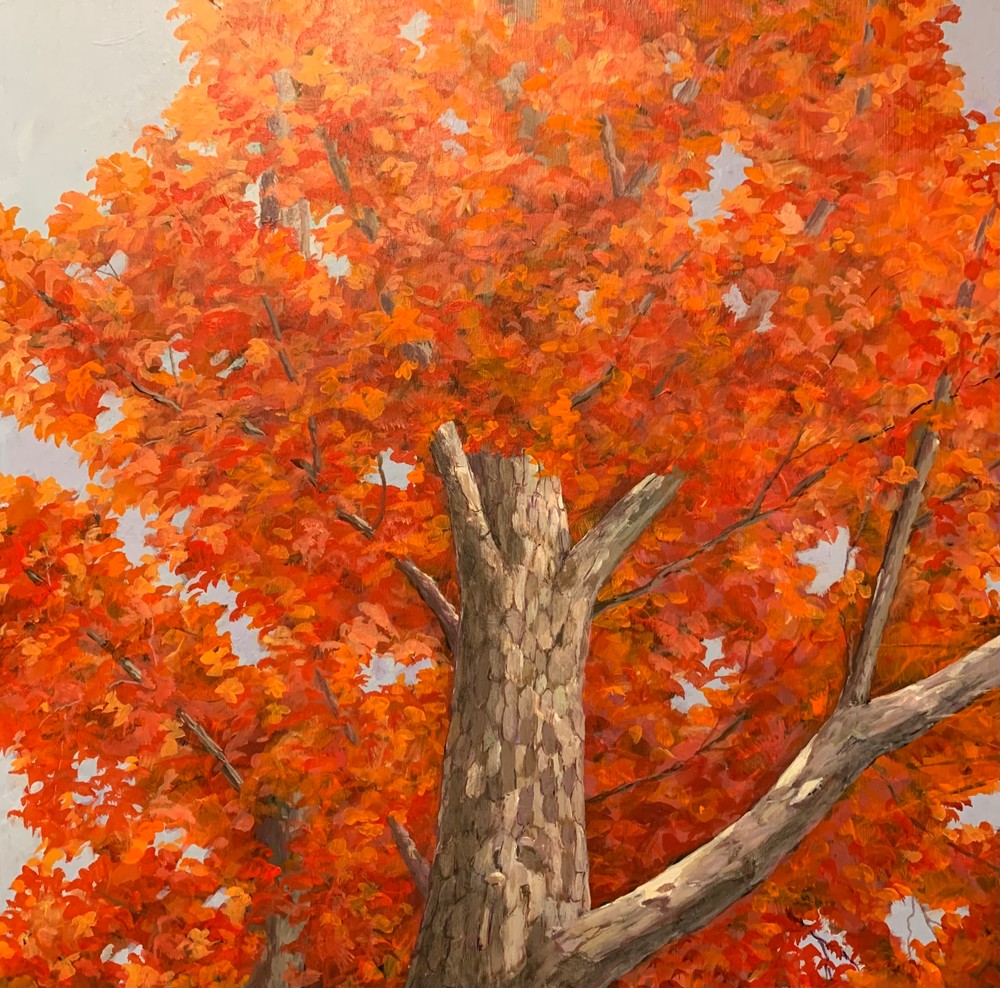 Fall Sycamore Art | Skip Marsh Art