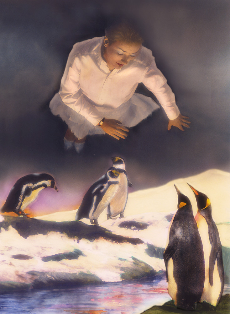 Penguin Flight Photography Art | Robert Mullenix / Dunwanderin Digital Studio