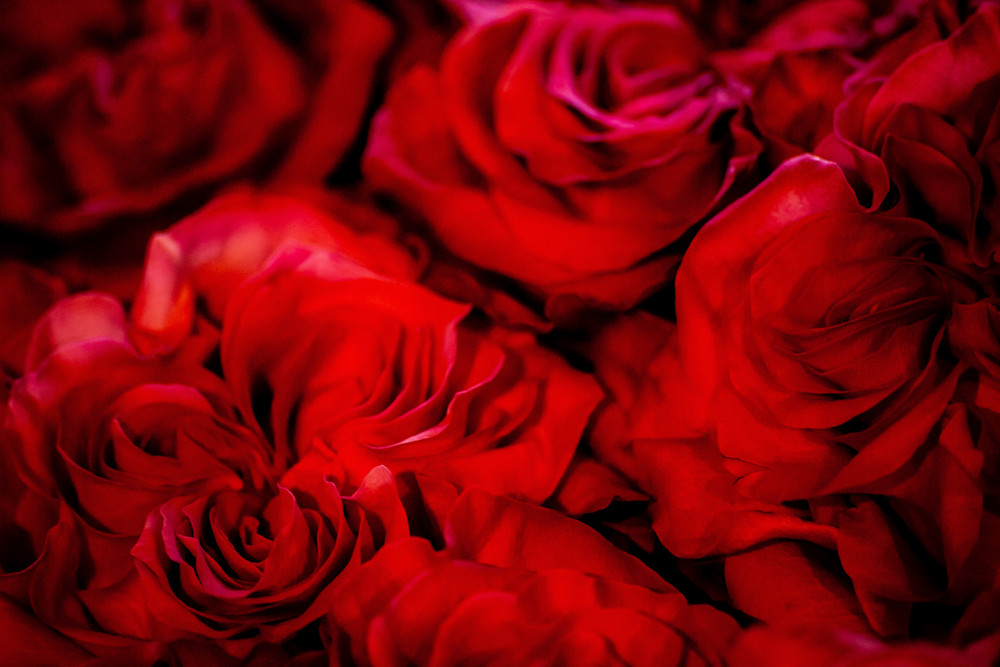 Roses Tote Photography Art | Lefkin Strategic Marketing & Creative LLC