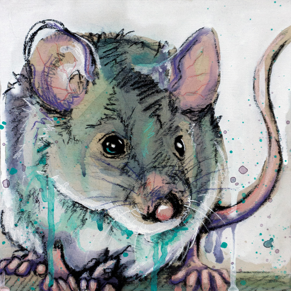 House Mouse Art | Kelsey Showalter Studios