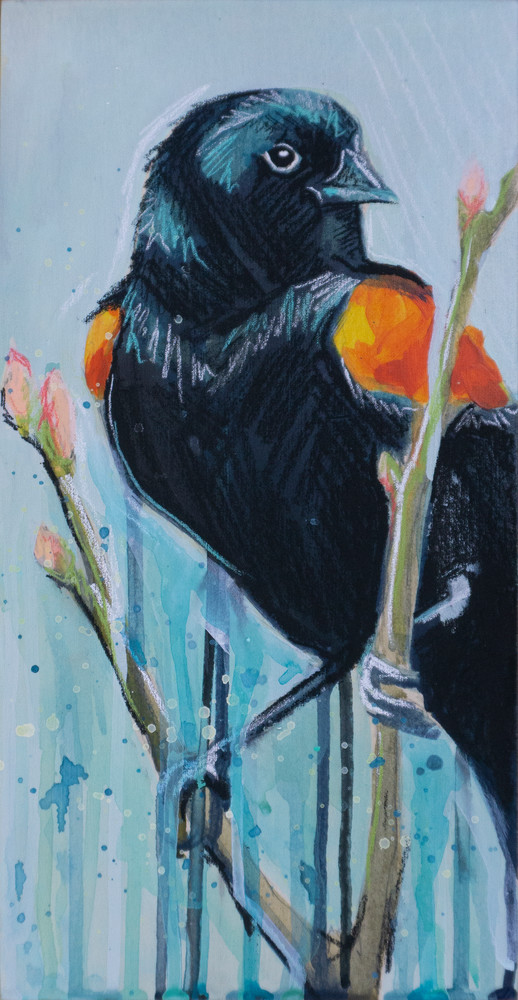 Red Winged Blackbird Art | Kelsey Showalter Studios