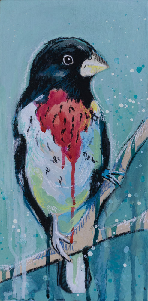 Rose Breasted Grosbeak Art | Kelsey Showalter Studios