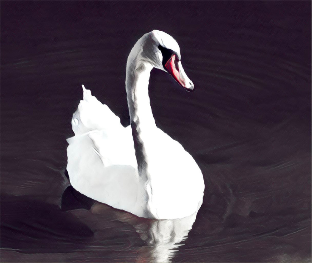 Feril Swan Art | Siegel Photography, LLC