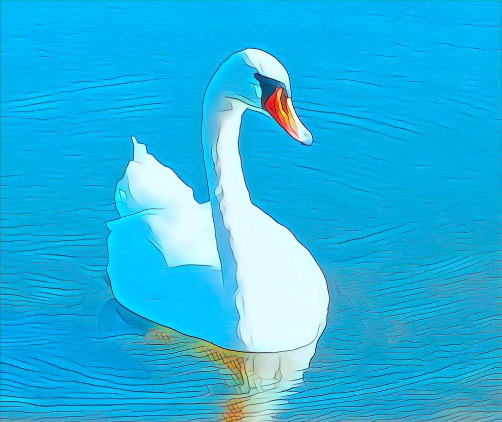 Poke Swan Art | Siegel Photography, LLC