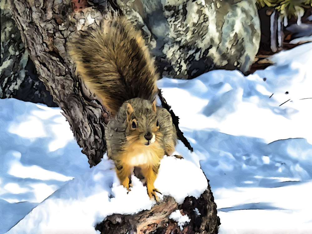 Denver Squirrel Art | Siegel PhotoArt