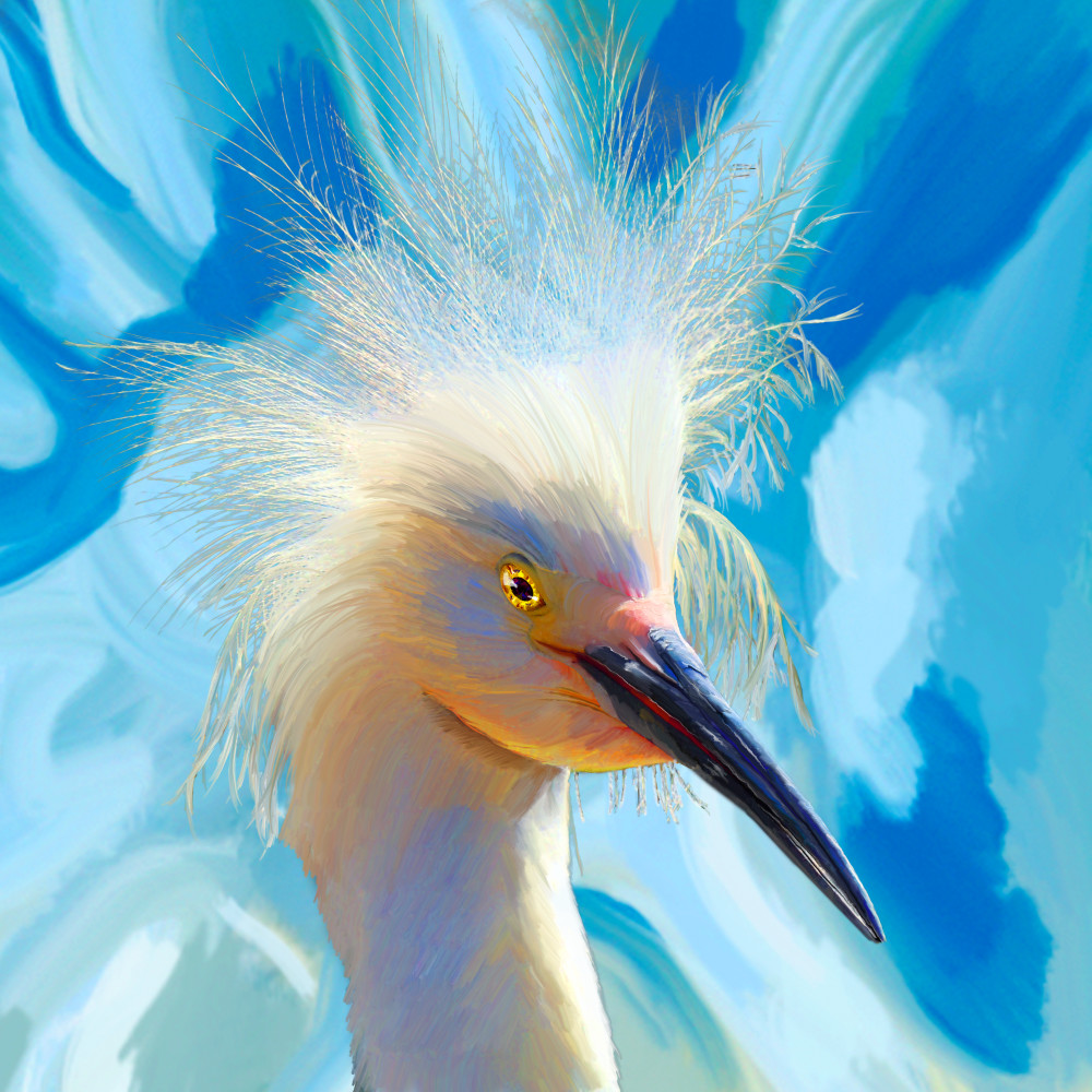 Egret 1 Art | DARDISartgalleries