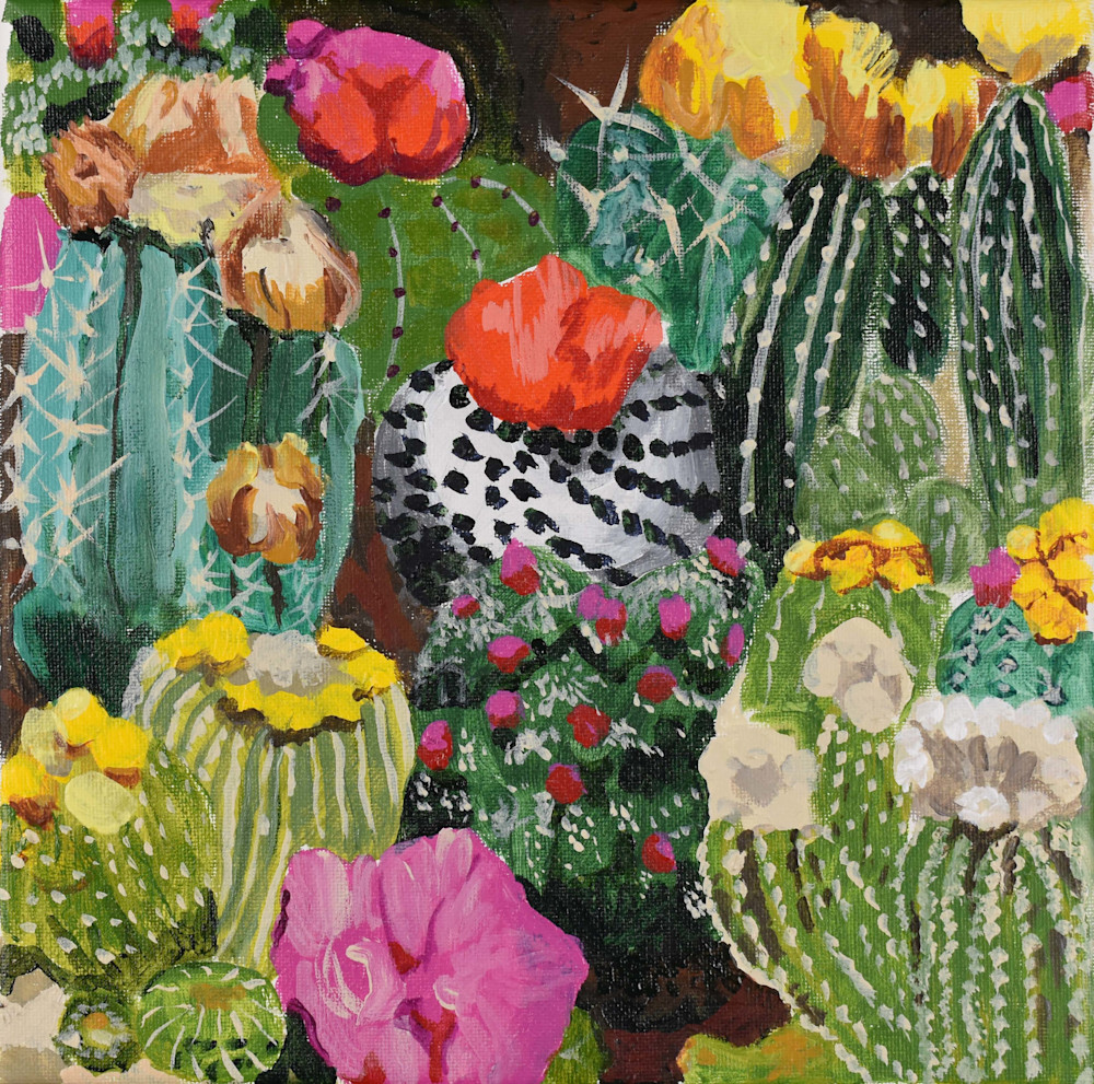 Rainbow Succulents Art | Amy DeSitter Art
