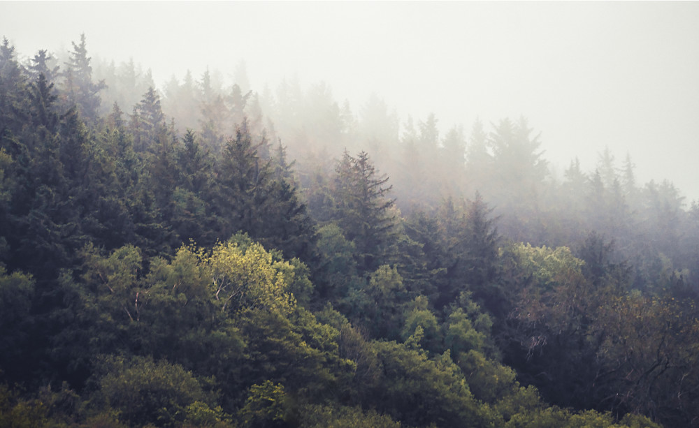 The Mist Photography Art | photo4change