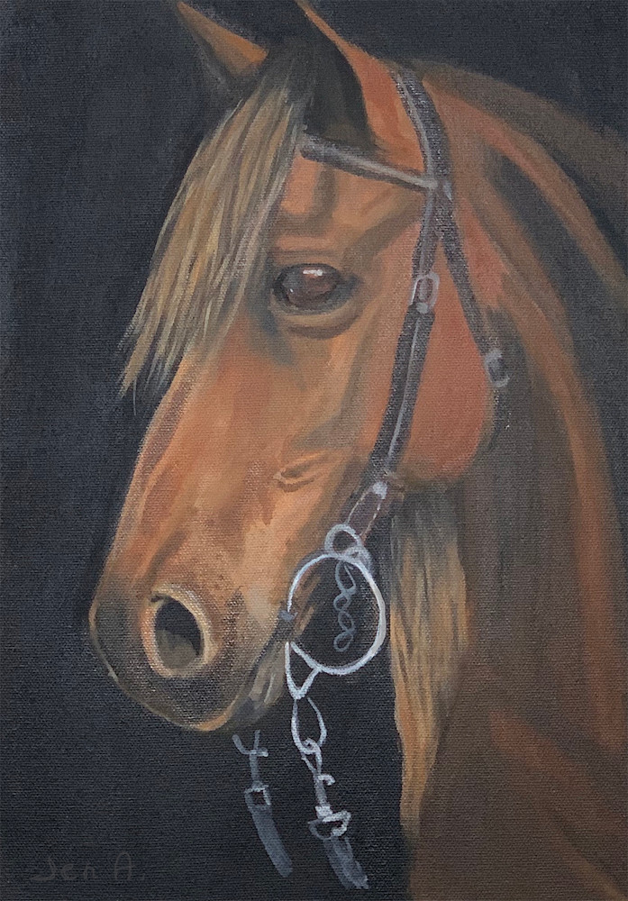 Beautiful bay horse painting of Alexandra


