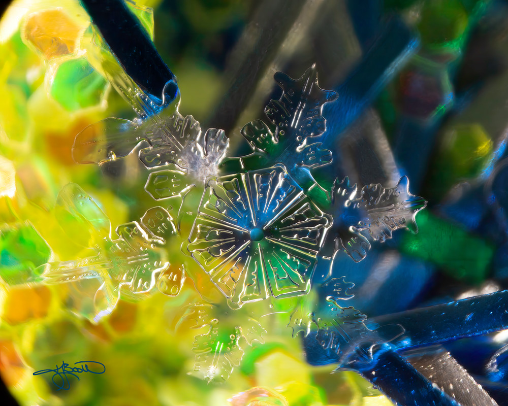 Plate With Branches Blue Dot Center Blue And Yellow Glitter Photography Art | Real Snowflake Photography LLC