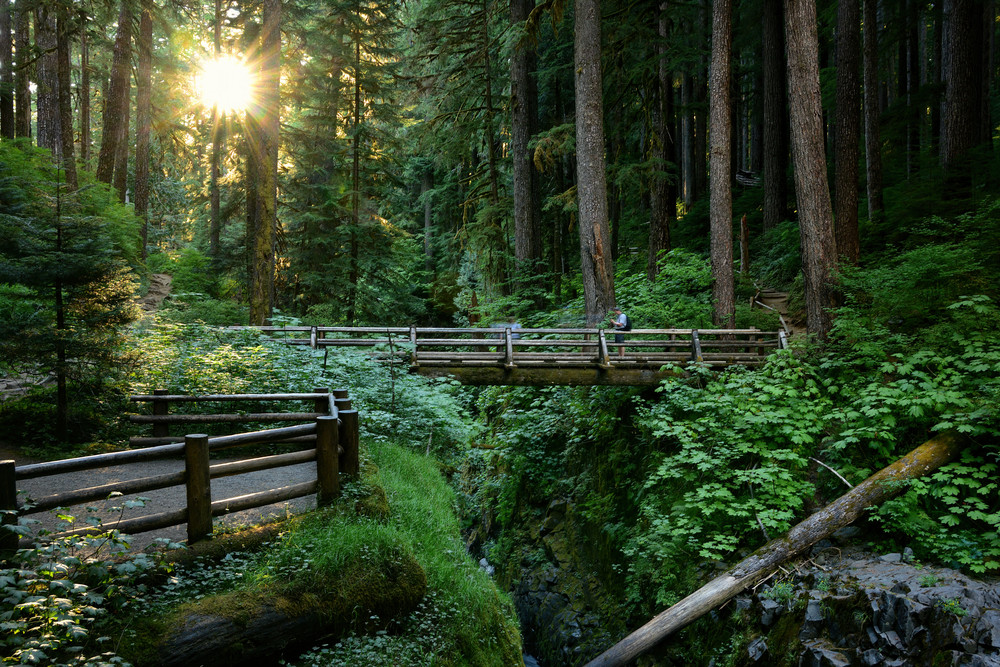 Summers Journey in the Olympic National Park Sol Duc Falls in Washington state - Fine Art Prints on Metal, Canvas, Paper & Acrylic By Kevin Odette Photography
