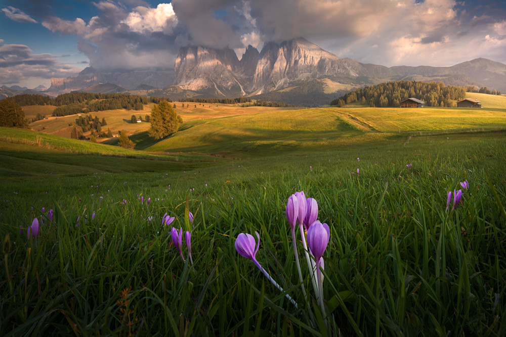 Dolomites Summer Photography Art | photo4change