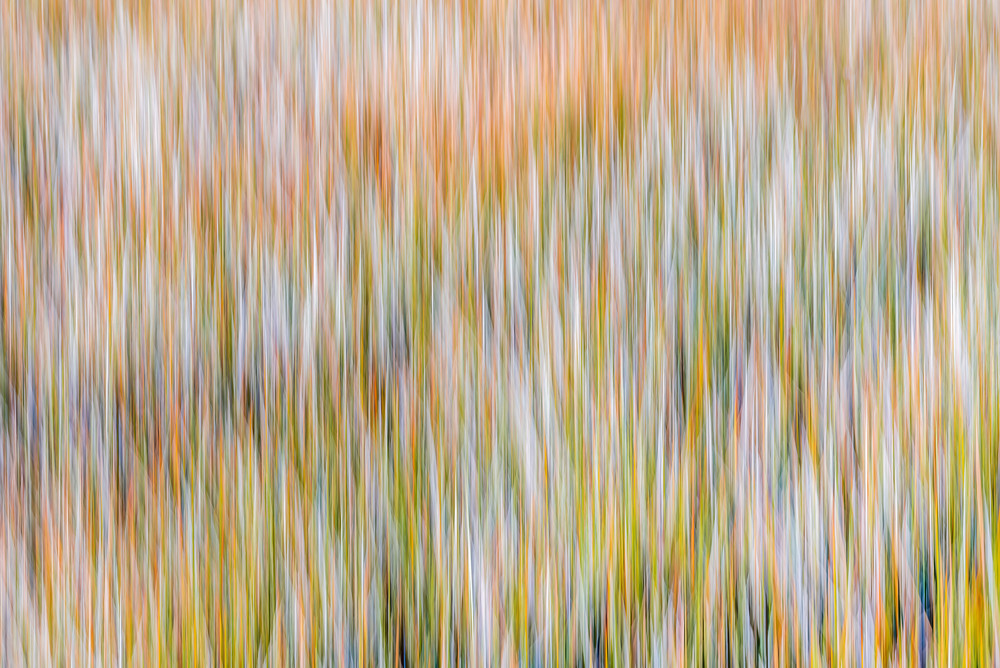 Blurred Lines Art | Rhonda Kingen Photography