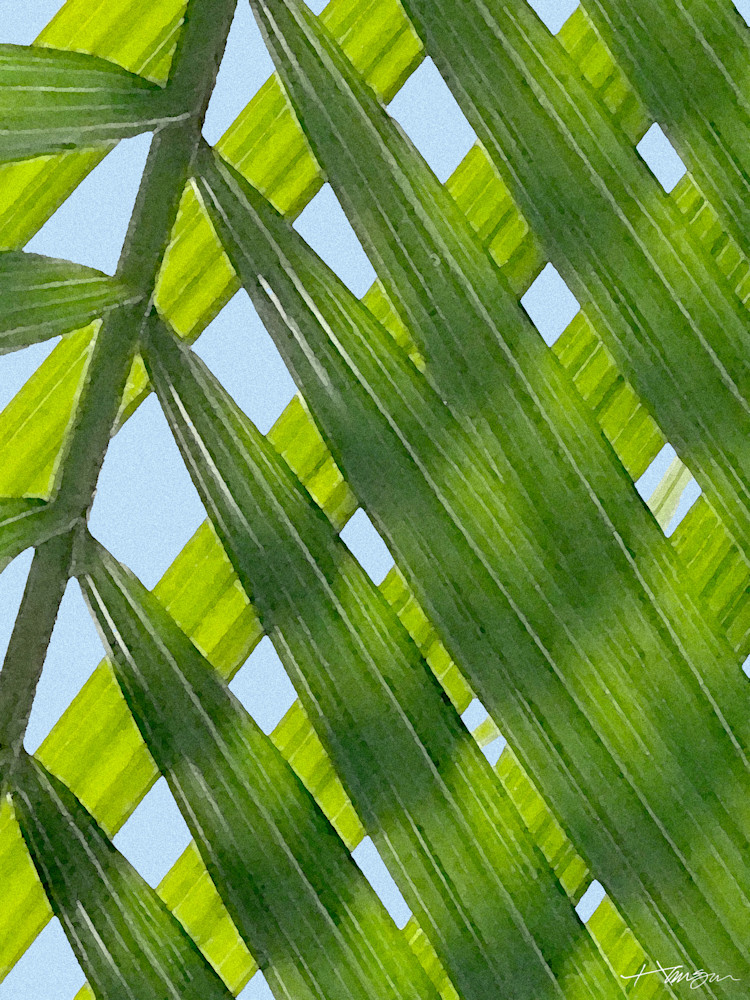 Palms Art | allenhansen