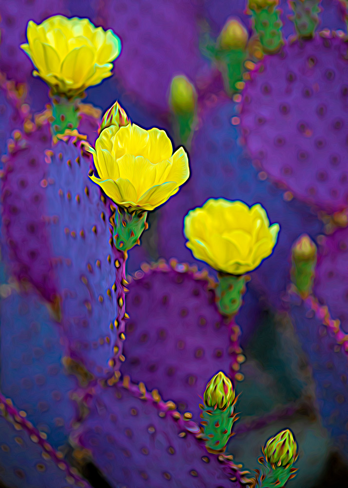 Santa Rita Prickly Pear #5 Psychedelic | Flowers Collection | CBParkerPhoto Art