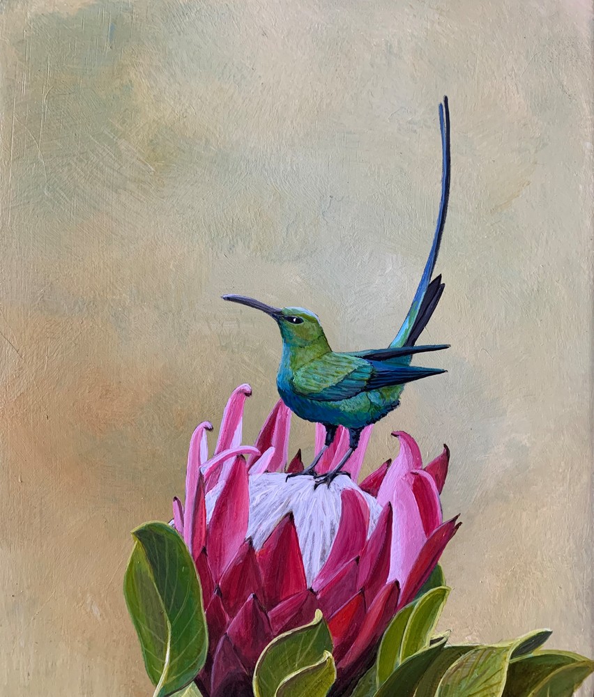 Tropical Bird With Large Flower Art | Skip Marsh Art